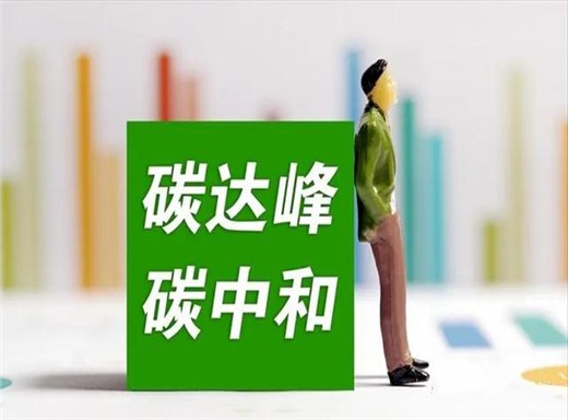 中國(guó)“雙碳”目標(biāo)下如何平衡發(fā)展與減排？